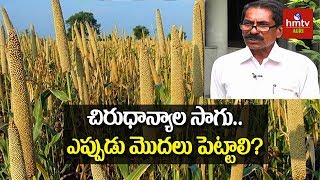 చిరుధాన్యాల సాగు.. ఎప్పుడు మొదలు పెట్టాలి? | Millets Cultivation | hmtv Agri