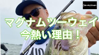 【琵琶湖バス釣り】ギュンギュン持っていくバイトがヤバイ！レイドジャパンのマグナムツーウェイが琵琶湖で熱い理由【レイドジャパン 】