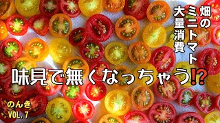 ドライトマトを作るよ