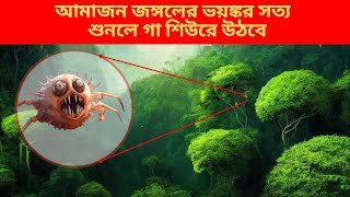 আমাজন জঙ্গলের ভয়ঙ্কর রহস্য, যা কেউ কোনদিন বলার সাহস পায়নি | Amazon | Rain Forest | Baikal