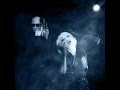 Die Form - Bionic House Inc.