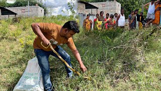 Indian Ratsnake non venomous snake rescue Gonegandla Village my number {9966333589}