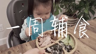 【一岁半宝宝辅食】可以全家一起吃的亲子晚餐！低盐美味、营养均衡、宝宝爱吃 | 20个月一周辅食全分享 | 适合一岁半至两岁宝宝 | 20-Month-Old Baby Dinner in a Week