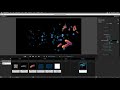 Setting up a Predator and Prey Simulation