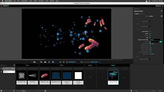 Setting up a Predator and Prey Simulation