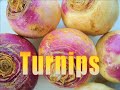 turnips