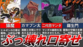 【NARUTO】あまりにも強すぎた”口寄せ動物ランキングTOP10”【ナルト解説・考察】