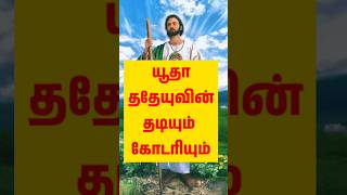 யூதா ததேயுவின் தடியும் கோடரியும் #trendingreels #history #cross #trendingreels #punithargal #tamil