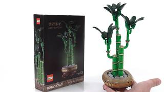 LEGO Botanicals Lucky Bamboo review! Beauty in simplicity | 10344 #NotSponsored