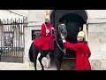 incredible horsemanship royal guards handle high drama at horse guard