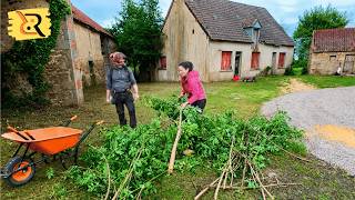 Clearing Land Harvesting Elderflowers