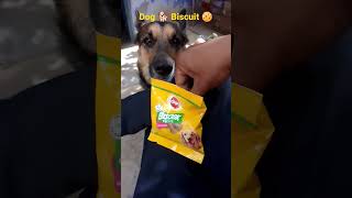 Pedigree Dog Biscrok Biscuits🍪❤️💓