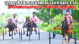 புதுக்கோட்டை மாவட்டம் அம்மையப்பட்டி  சின்னகுதிரை 23.06.2024