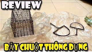 Review Các loại bẫy chuột thông dụng | Văn Hóng