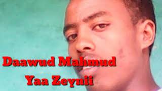 Manzuumaa haaraa #Daawud Mahmud. #Yaa Zaynii