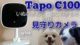 初心者むけ犬猫見守りカメラ。いぬのきもち・ねこのきもち付録(ペット・子供)(TPlink tapo c100)