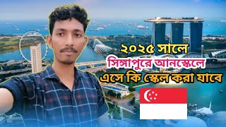 ২০২৫ সালে সিঙ্গাপুরে আনস্কেলে এসে কি স্কেল করা যাবে || Biplob OfficiaL