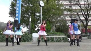 堺･泉州ご当地アイドルCulumi(くるみ) @ 堺市役所 市民交流広場 ストリートライブ 2部 15/11/21