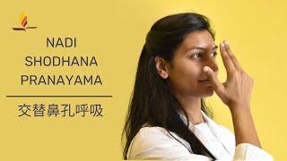 Nadi Shodhana Pranayama: 交替鼻孔呼吸 | SRMD 瑜伽 | SRMD Mandarin