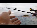 Pangkor Fishing | Trip Apollo: Lesen Pertama New Species Unlocked!