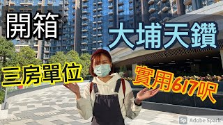 🇭🇰大埔天鑽三房單位睇樓團｜入屋第一個反應係？｜比預期有落差？｜