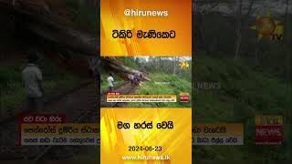 ටිකිරි මැණිකෙට මග හරස් වෙයි - Hiru News