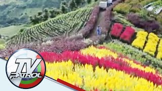 SILIPIN: Mga makukulay na bulaklak sa Landingan Viewpoint | TV Patrol