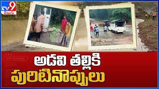 అడవి తల్లి కి పురిటినొప్పులు : Adilabad - TV9