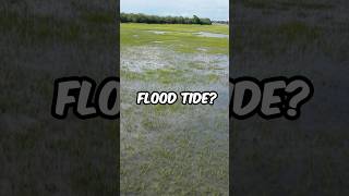 Catching my FIRST Flood-Tide Redfish