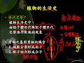 10701北一暑輔選修生物ch4 1 03複習植物的生活史三御