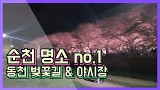 [순천가볼만 한곳  no.1]순천 동천 벚꽃길과 순천만 달밤 야시장 영상입니다.