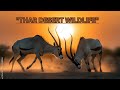 The Thar Desert's Animal Life