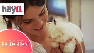 Kendall Hides Her New Puppy From Her Father | Season 1 | Keeping Up With The Kar