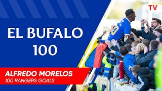 EL BUFALO 100