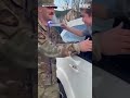 Dad surprises son after military deployment