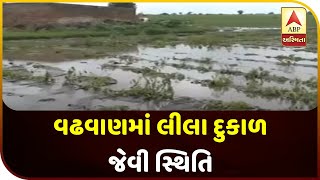 Green Drought-Like Conditions In Wadhwan, Surendranagar | ABP Asmita