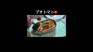 嫁ちゃんとJKのチキンソースカツ弁当・2024/11/08（金）