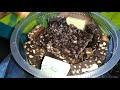 unboxing homemade kodaikanal chocolate