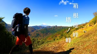 箱根連峰の引き立て役!塔ノ峰に登る!