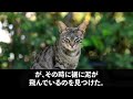 【感動する話】仕事帰りに兄と高級料亭へ行くと、作業着姿の俺を見て見下す女将「貧乏人は水だけねｗ」兄が大爆笑「社長呼んでください」→直後、兄を見た社長が顔面蒼白に…ｗ【いい話・朗読・泣ける話】