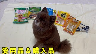 最近、購入した愛犬グッズを紹介します！