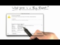 Example Bug Report - Software Debugging