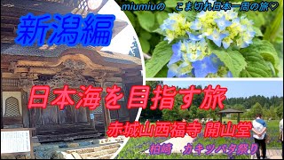 【新潟県車旅2】赤城山西福寺 開山堂 日本のミケランジェロ石川雲蝶　柏崎　夢の森公園のカキツバタ祭り　旅行/観光/神社仏閣