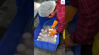 Making of virgin coconut oil in Bengaluru || blue lagoon agro products || #shorts #youtubeshorts