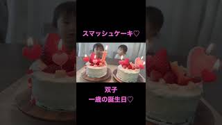 【スマッシュケーキ】一歳の誕生日🎉ここの顔。笑