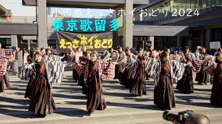 東京歌留多　小田原えっさホイおどり　にぎわい広場　12月1日（日）