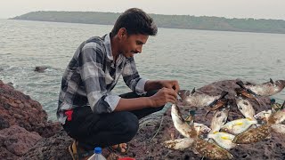 खूप दिवसांनंतर लागले गरवून मासे , गरीला बांगडा लावून पकडले मासे | Traditional fishing  @TejaGurav