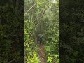 කොහොමද place එකයි view එකයි 😍🥺😍 srilanka wangedigala visitsrilanka rain mist