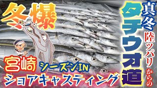 冬爆陸ッパリ【タチウオ道】真冬にシーズンイン！？ここが年がら年中釣れる宮崎県！キャスティングタチウオテンヤでショア太刀魚を狙い撃ち！