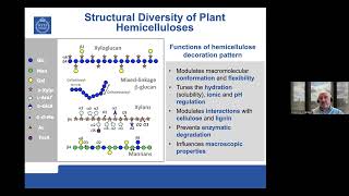 EPNOE Webinar - Plenary Lecture by Francisco Javier Vilaplana Domingo